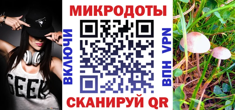 Псилоцибиновые грибы Psilocybine cubensis  Сольвычегодск 